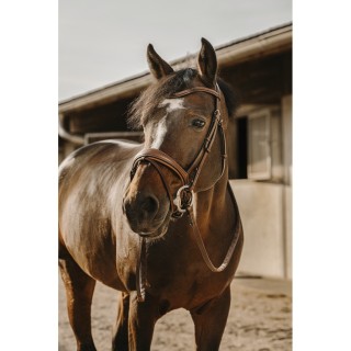 Trense Eric Thomas Visby