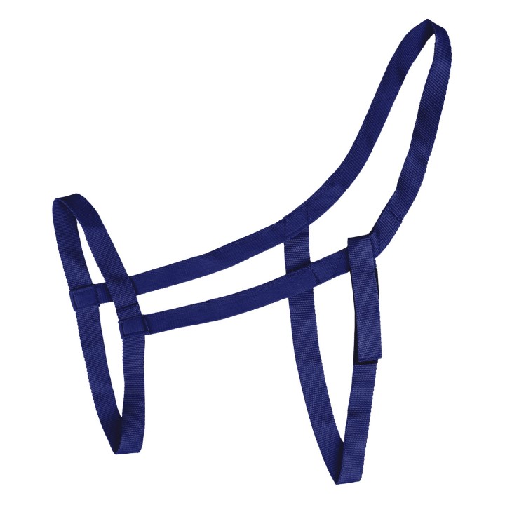 Wiesenpferdehalfter Waldhausen