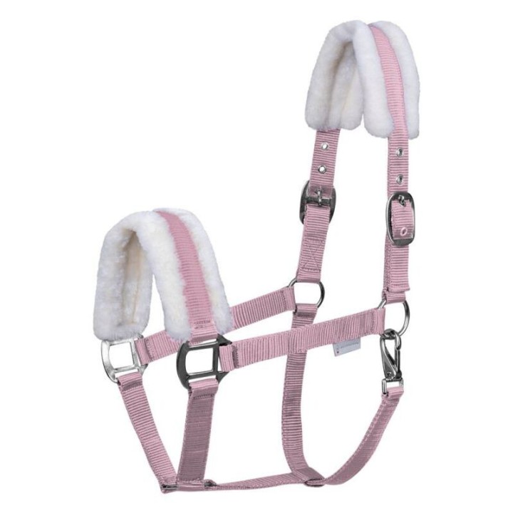 Mini-Shetland Halfter mit Fell Waldhausen First