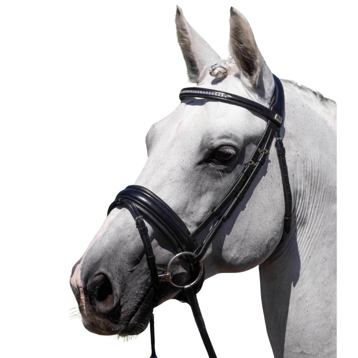 Anatomische Sattelgurt Premier Equine Castello