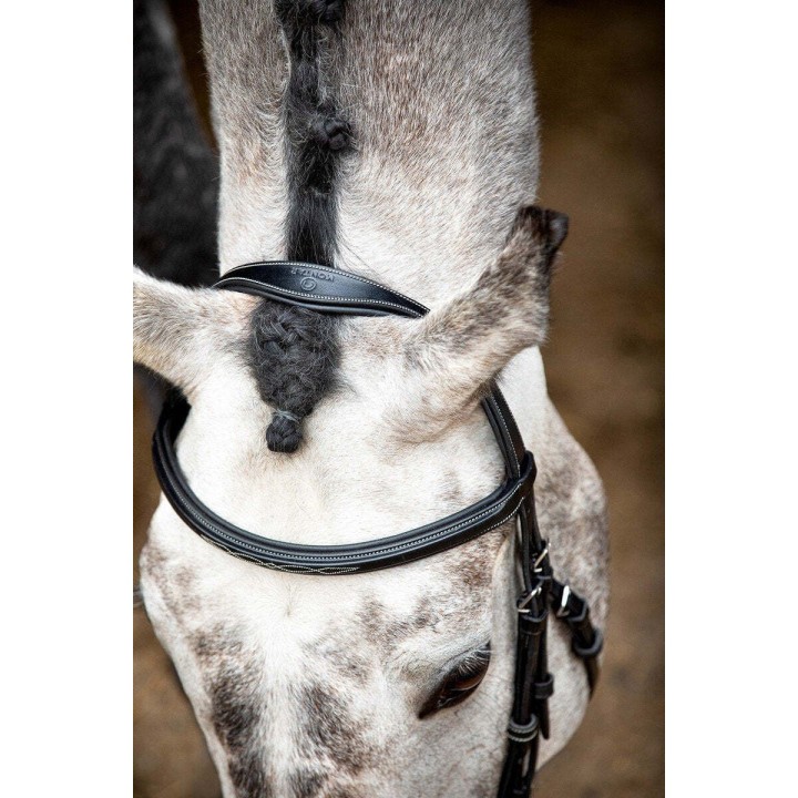 Reittrense aus veganem Leder Montar Hunter ECO