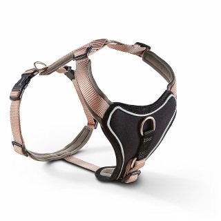 Wolters | Halsband champagner/trüffel | 3 / 50 - 60 cm x 30 mm