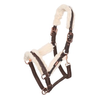 Halfter für Pferd Pelz HV Polo Welmoed Shine