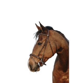 Trense Norton Club Easy