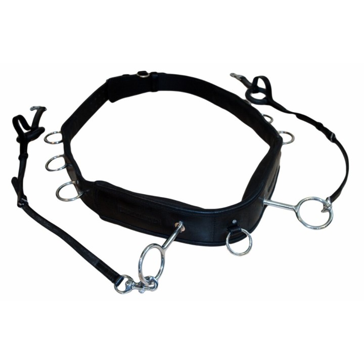 Langer Zügel für Pferde Karlslund Lunging