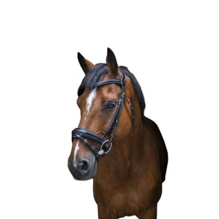 Reittrensen für Vollblutpferde Eric Thomas Pro Design