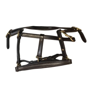 Halfter aus Leder Premiere Equitation