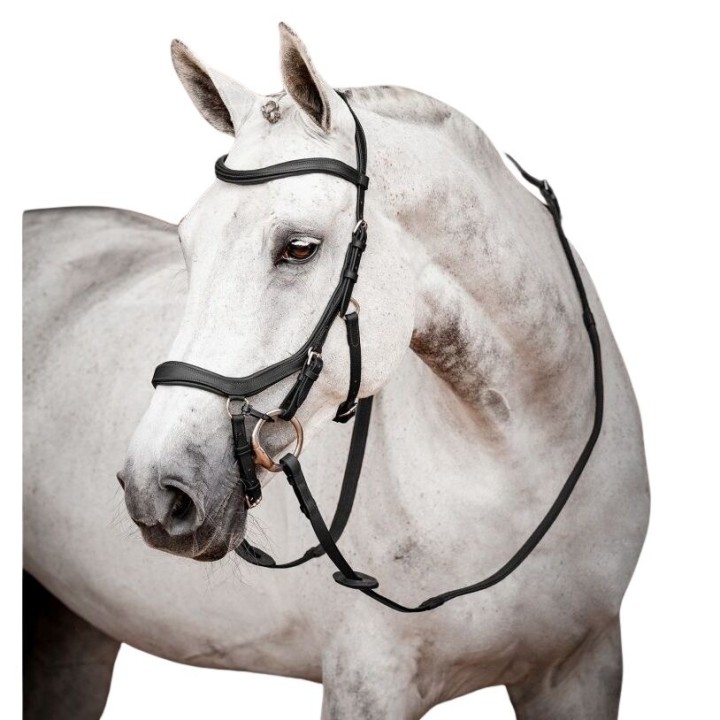 Turniertrensen Horseware Micklem 2