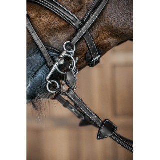 Allianz für Gebisse Dy’on Pelham