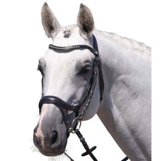 Reiterbraut Premier Equine Palazzo