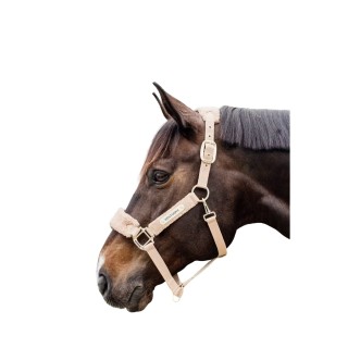 Halfter für Polarpferd Kentucky Teddy