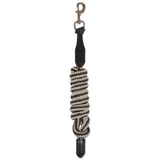 Longe Reiten QHP Salerno