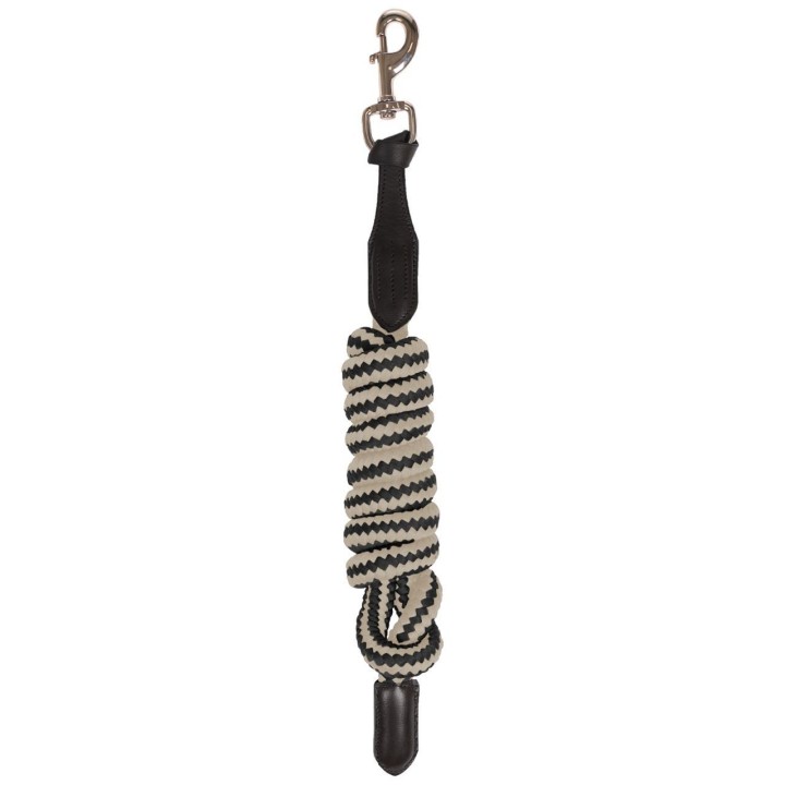 Longe Reiten QHP Salerno