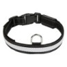 Leuchtendes Hundehalsband Eyenimal RGB