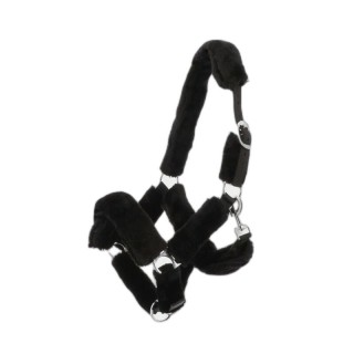 Gepolstertes Halfter Norton