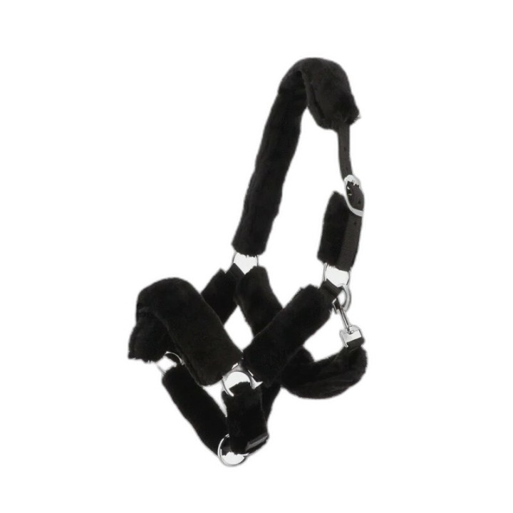 Gepolstertes Halfter Norton