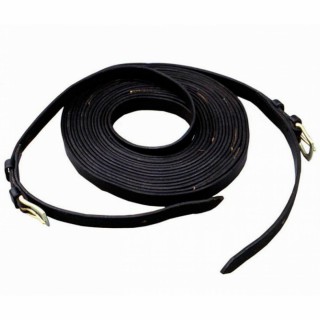 Führungen für Pferdegespanne Tattini