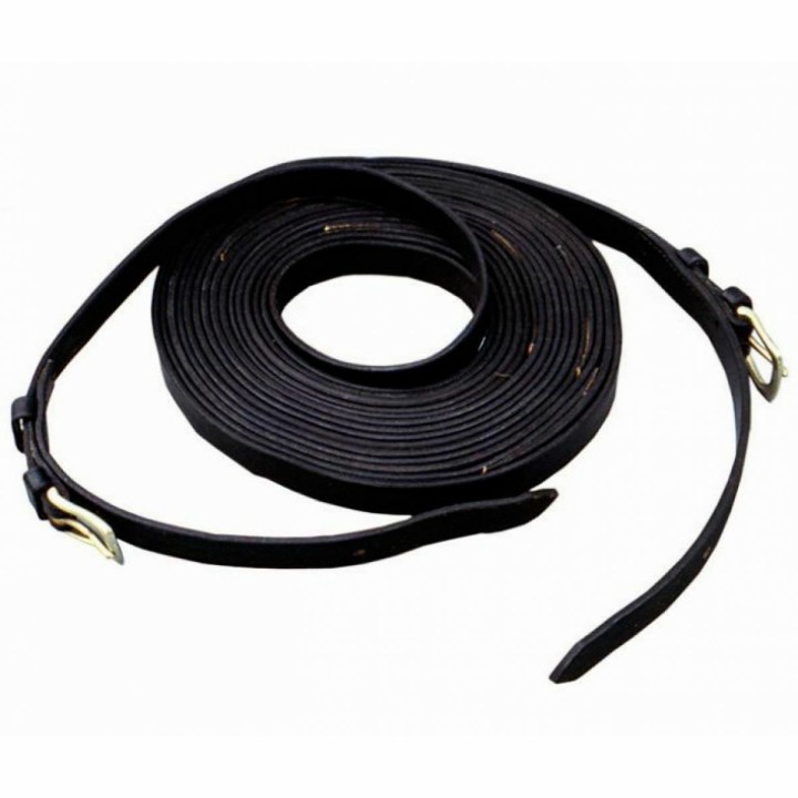 Führungen für Pferdegespanne Tattini