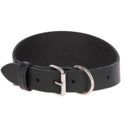 Halsband für Windhunde Kerbl Mexica