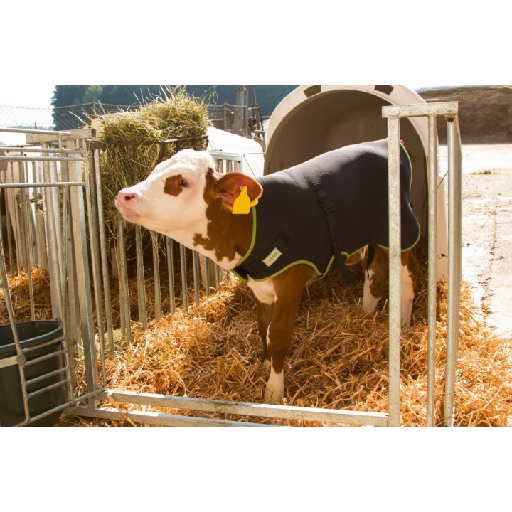 Kalbsdecke Kerbl Premium