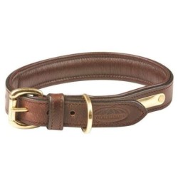 Gepolstertes Hundehalsband aus Leder Weatherbeeta
