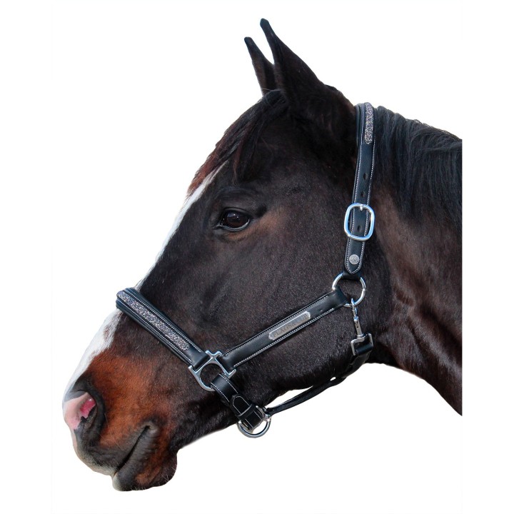 Halfter für Pferd Flags&Cup Aachen