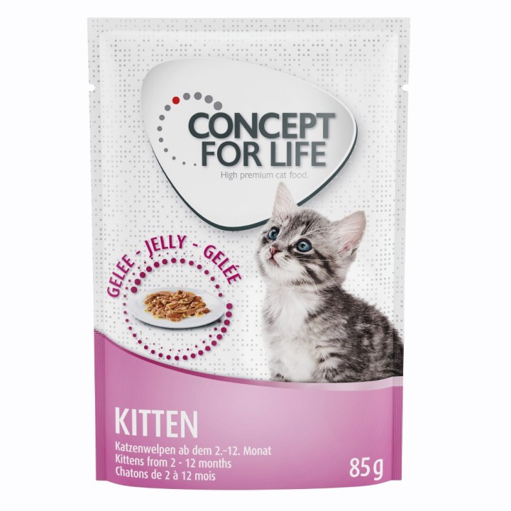 Sparpaket Concept for Life 48 x 85 g -  Kitten in Gelee