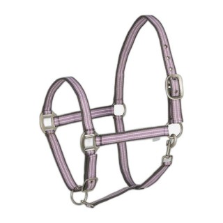 Halfter Horze Adepto