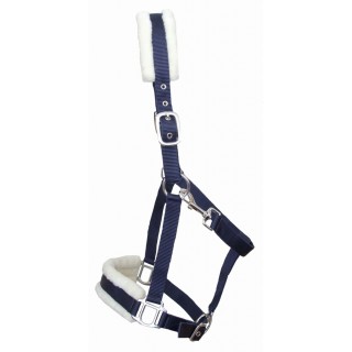 Gepolstertes Halfter T de T