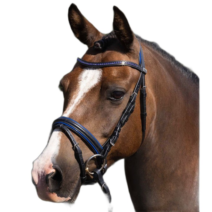 Reittrense Premier Equine Mineo