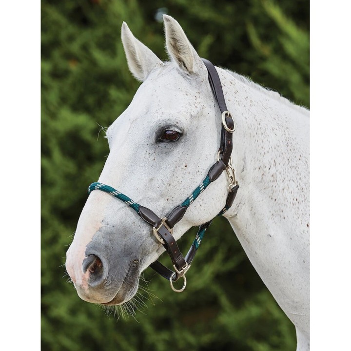 Lederhalfter für Pferde Kincade