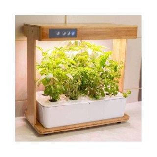 Gemüsegarten Bioponis