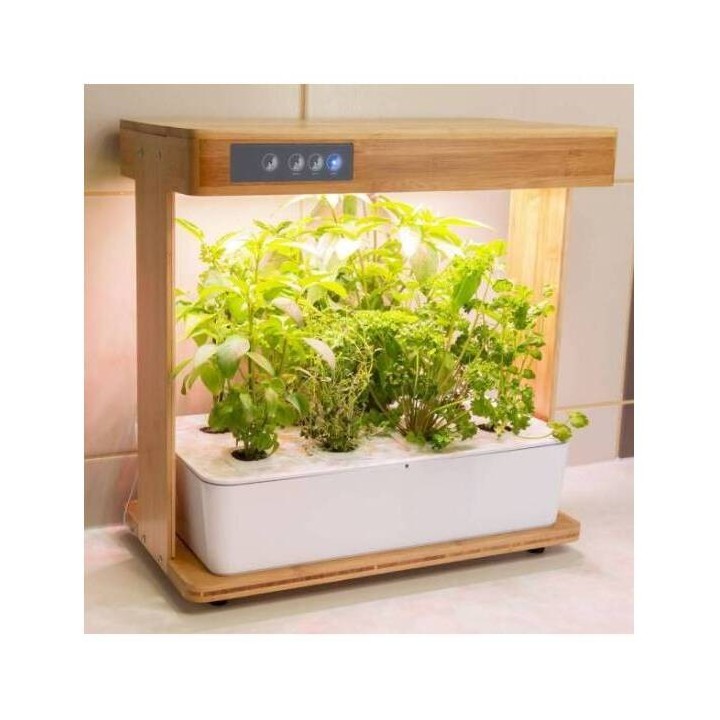 Gemüsegarten Bioponis