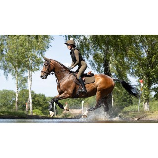 Schmaler Springsattel Teppich aus Wildleder LeMieux