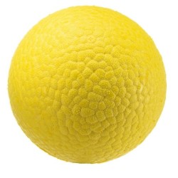 Hundeball Ferplast Chewa Boing