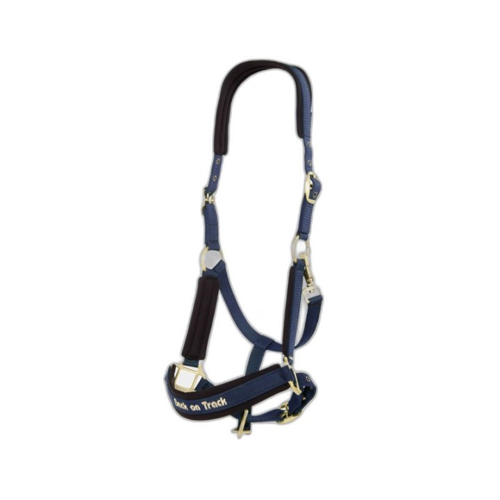 Halfter Back on Track Werano