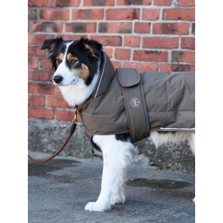 Hundemantel Jacson Rakel