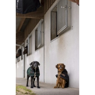 Hundedecke aus Nylon Diego & Louna Teddy