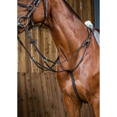 Martingal mit Ringen Dy’on