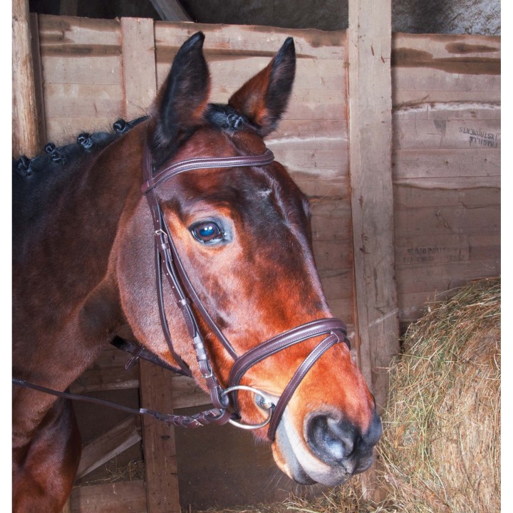 Zaumzeug Reiten T de T Klimt