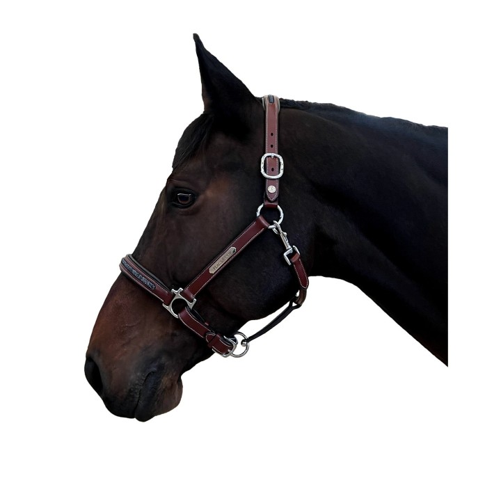 Halfter für Pferd Flags&Cup Aachen