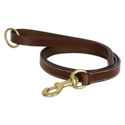 Hundeleine HV Polo Legacy