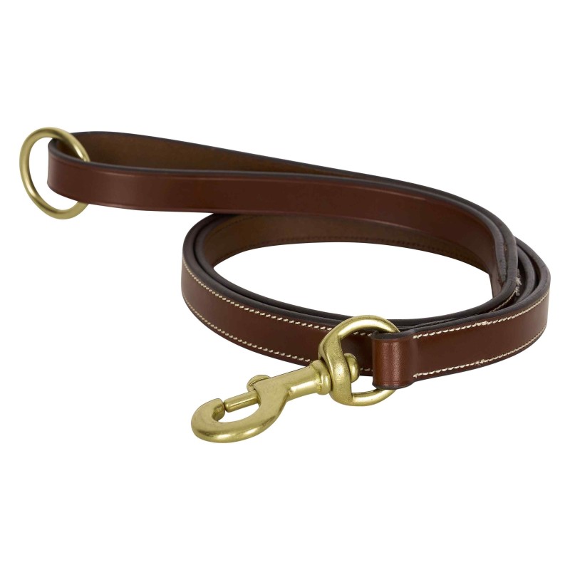 Hundeleine HV Polo Legacy
