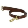Hundeleine HV Polo Legacy