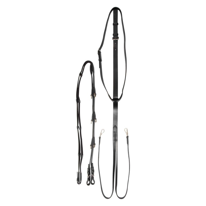 Elastische Ausbinder Imperial Riding Thiedemann Core