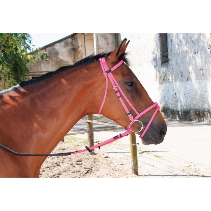 Zaumzeug Reiten T de T Biotack®