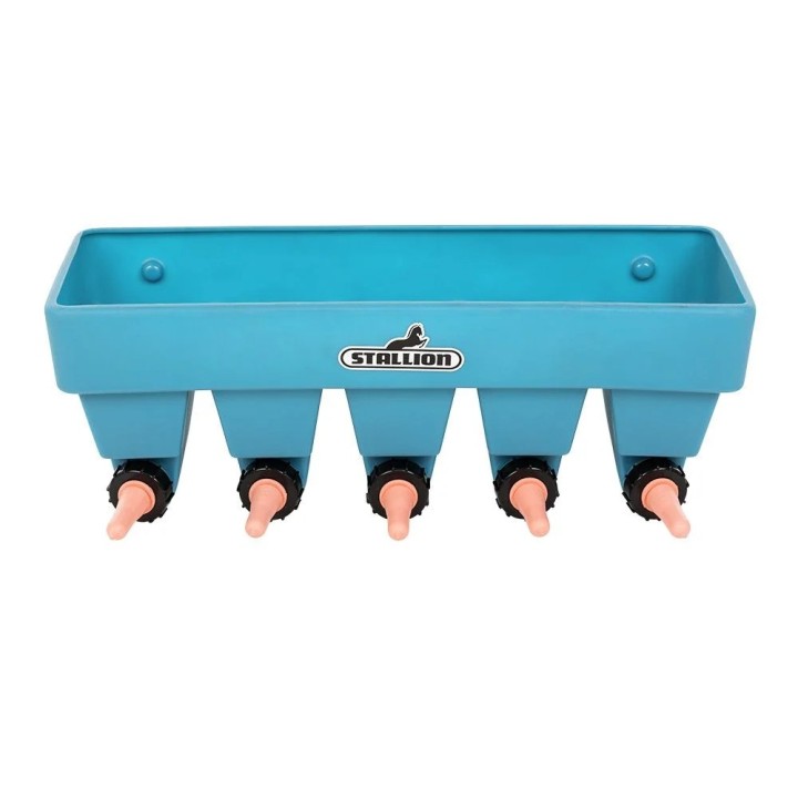 Unterteilte Rindertränke mit 5 Plätzen Stallion MM5