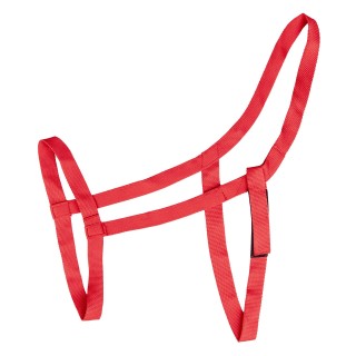 Wiesenpferdehalfter Waldhausen