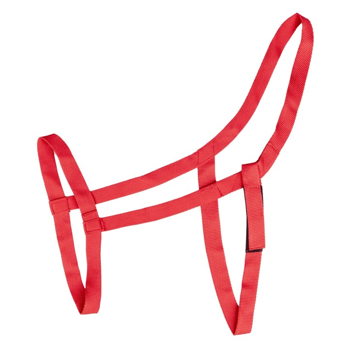 Wiesenpferdehalfter Waldhausen