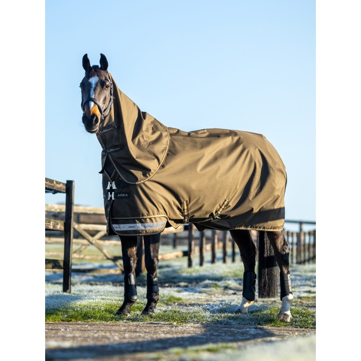 Wasserdichte Outdoor-Decke für Pferde mit Halsabdeckung LeMieux Arika Ripstop 100g
